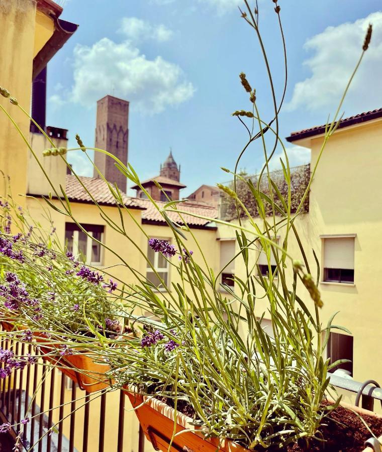 House Center Appartamento Bologna