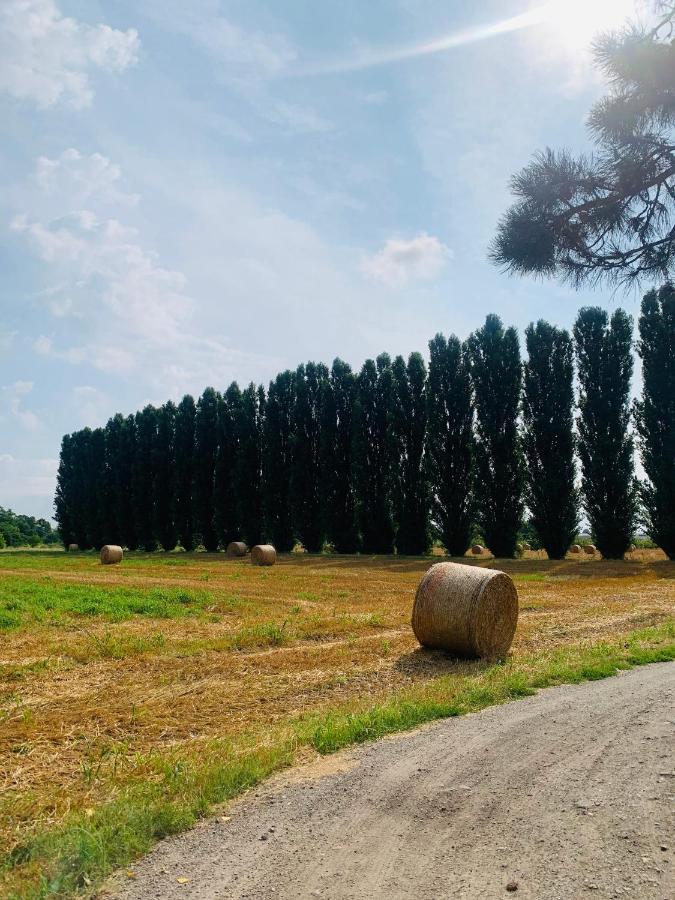 Tra E Citta *
