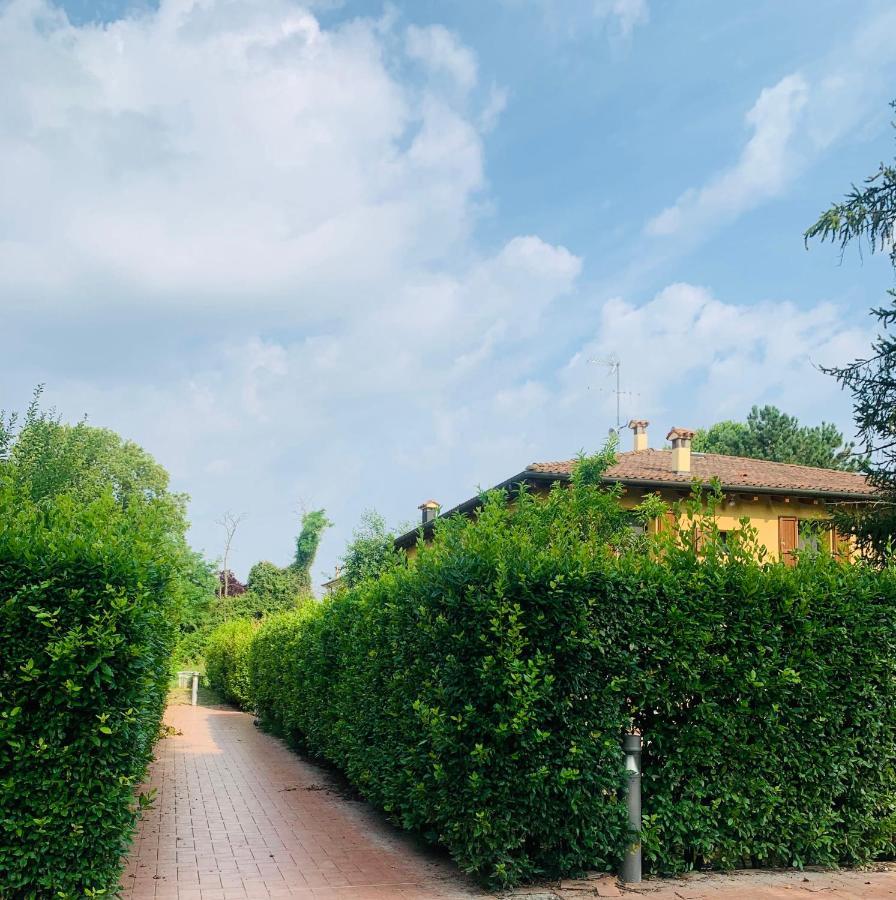 Tra E Citta Bologne