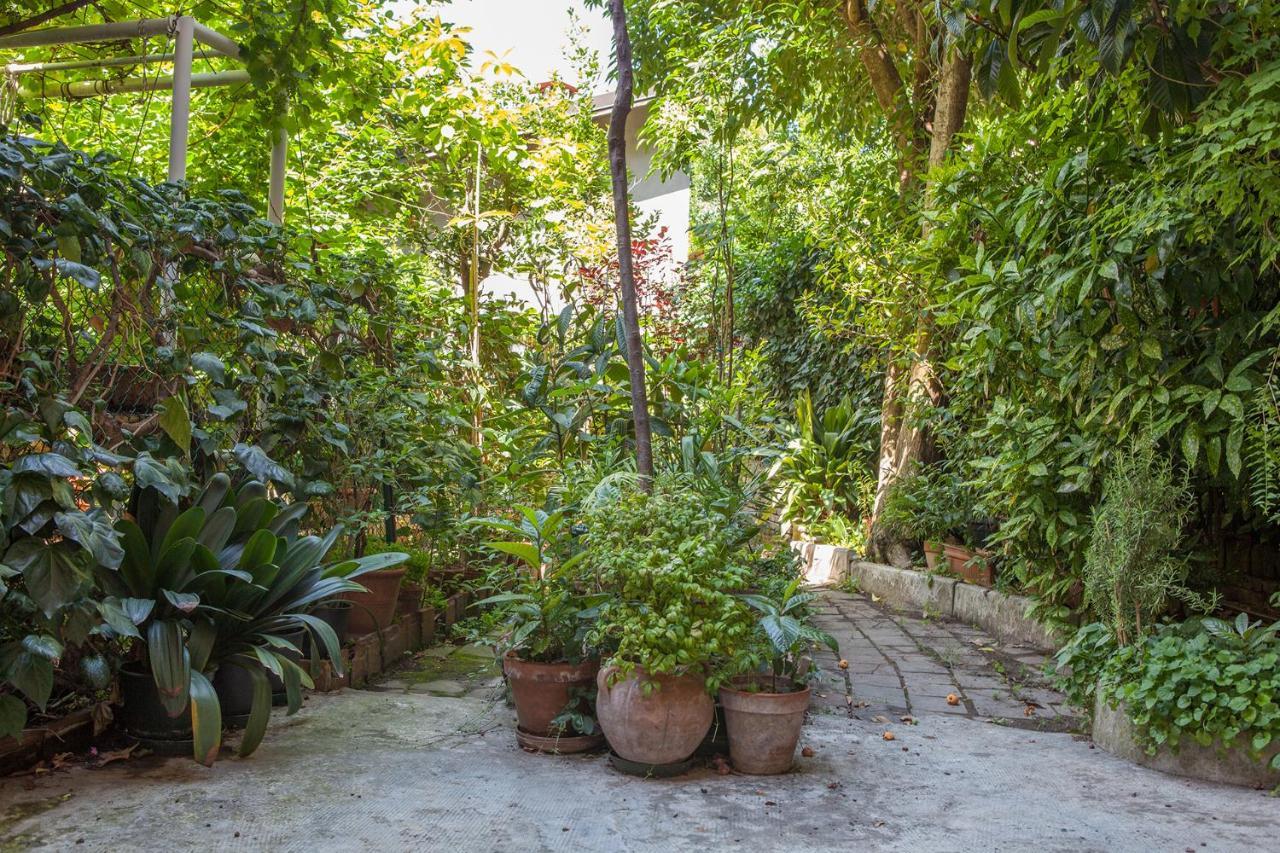 Il Nespolo Casa vacanze
