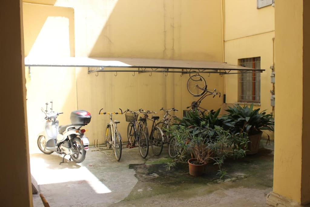 Appartement Lovely Flat, Ground Floor Centre Of Bologna! :) Bologne