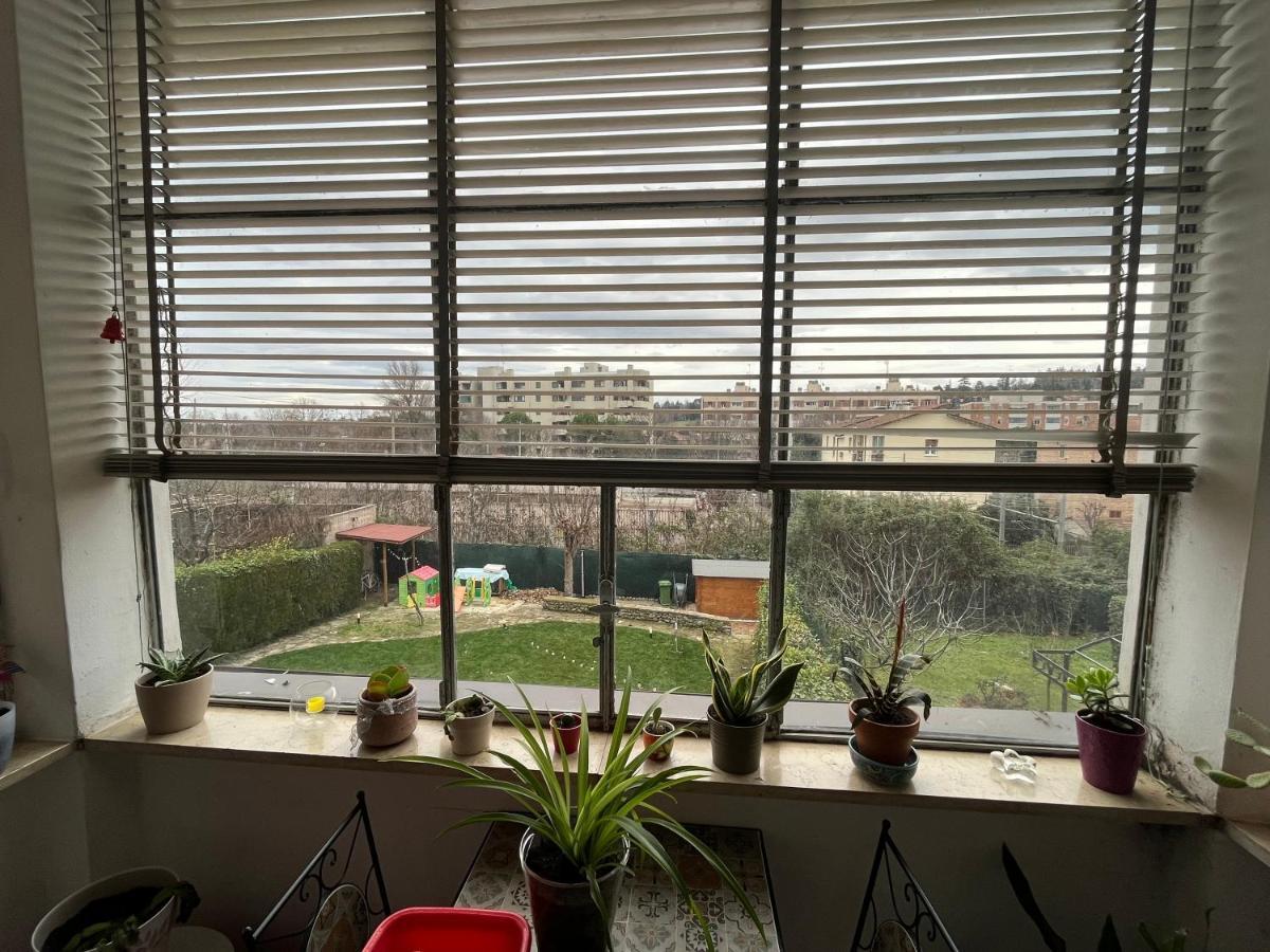 Acomodação com café da manhã  Casa Filippini