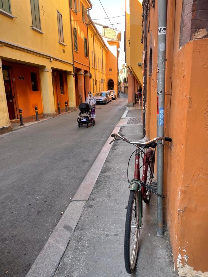 Bella Bolonia