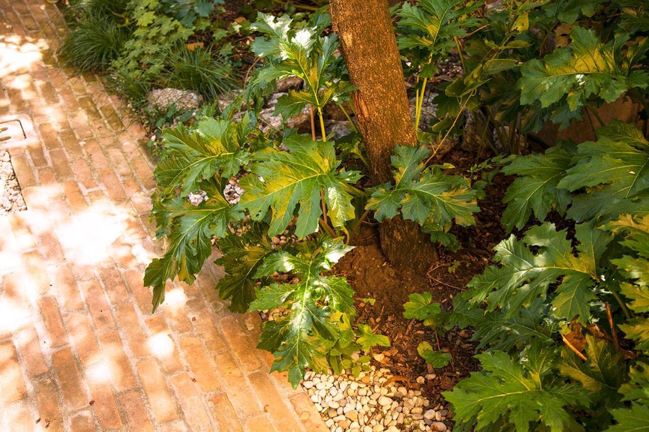 Apartment Urban Jungle Bologna