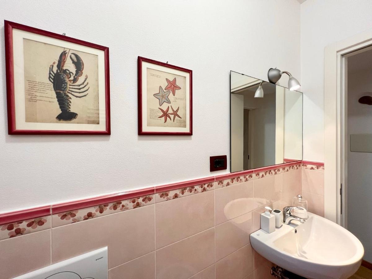 - Nara Apartamento