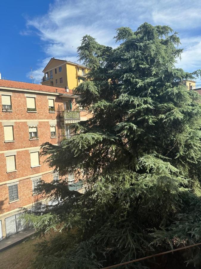 Apartamento Casa Marilu *