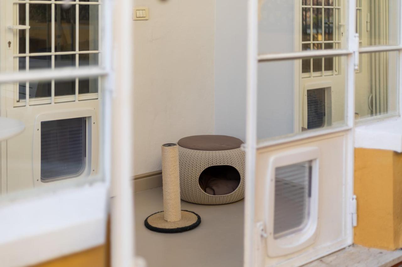 Apartment Con Terrazza Tra I Tetti Del Centro
