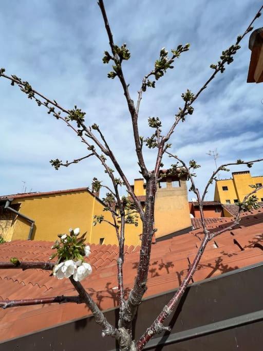 Appartement Margherita W/ Terrace