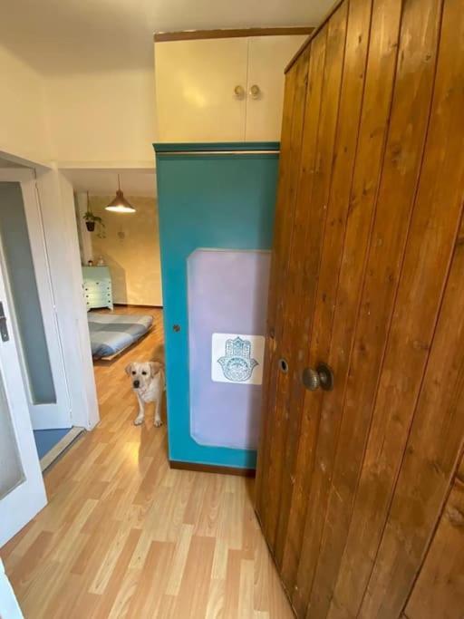 Spazioviola Intimo Boho Style Uno Spazio Magico Per L'energia Che Si Respira In Un Palazzo Della Vecchia Qui Nulla E Perfetto Ma Tutto Racconta No Wi-fi No Aria Condizionata Appartement *