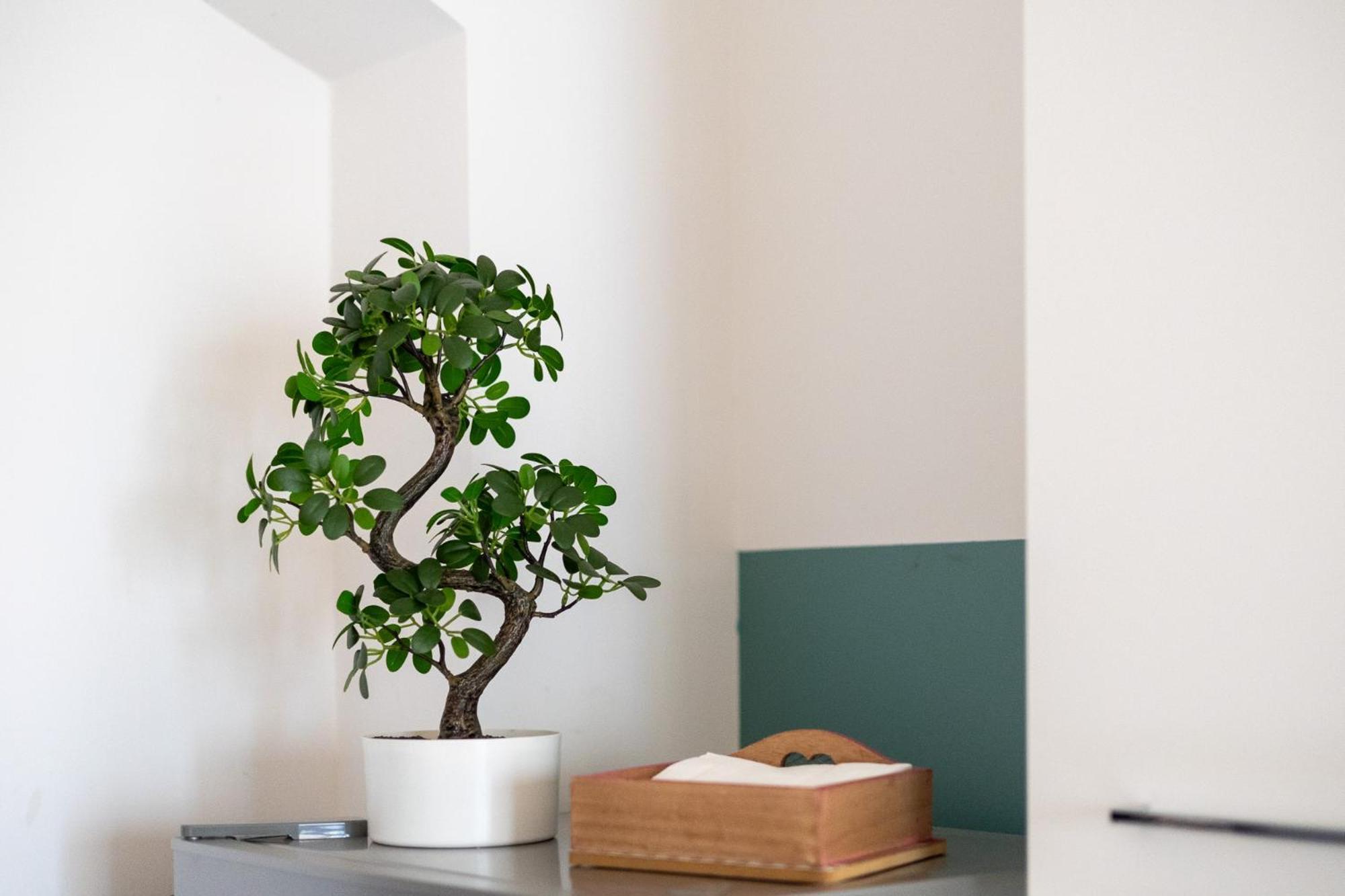 Appartement Azzurra1