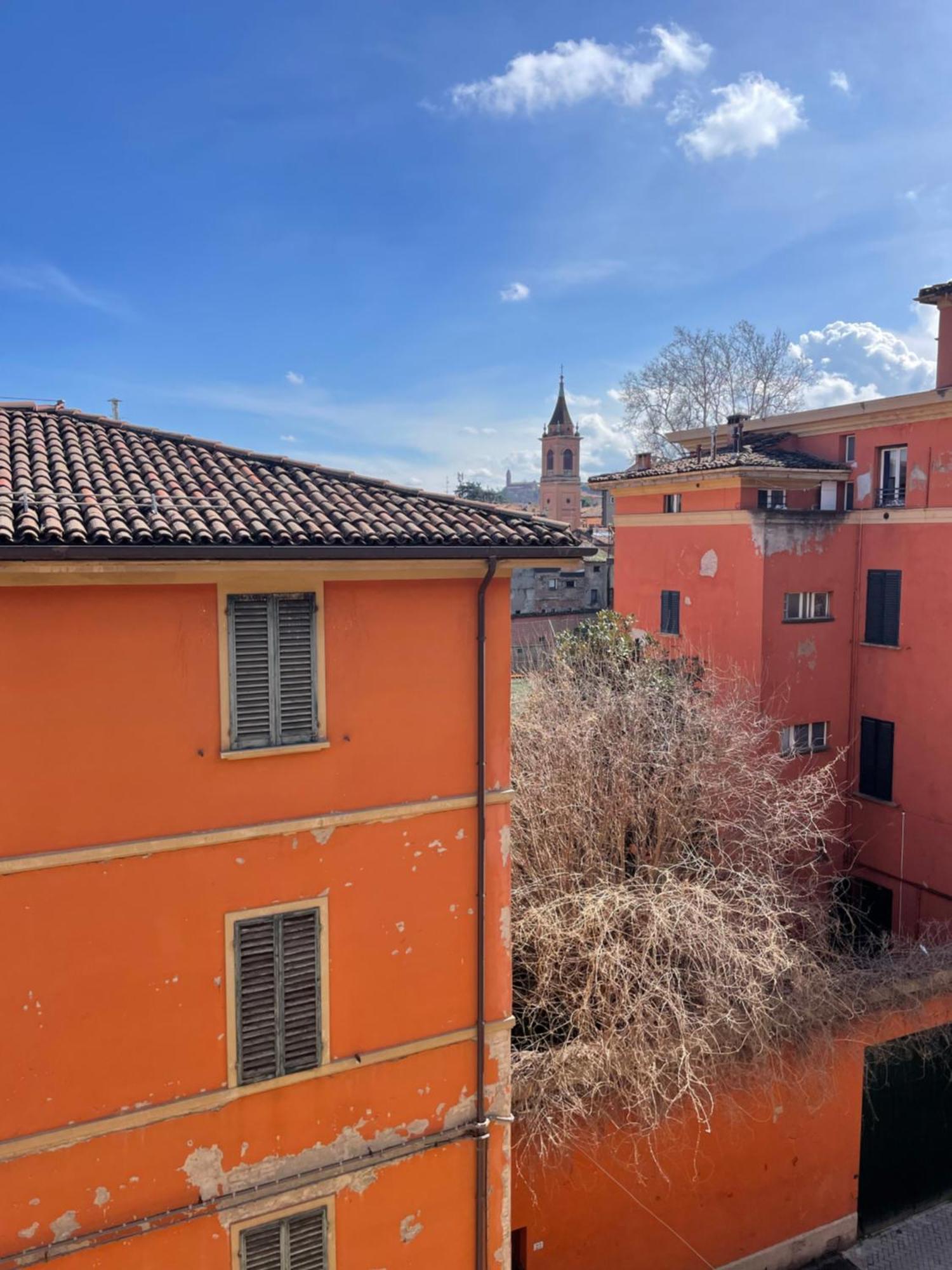 Appartement Bright With Attic Bologna