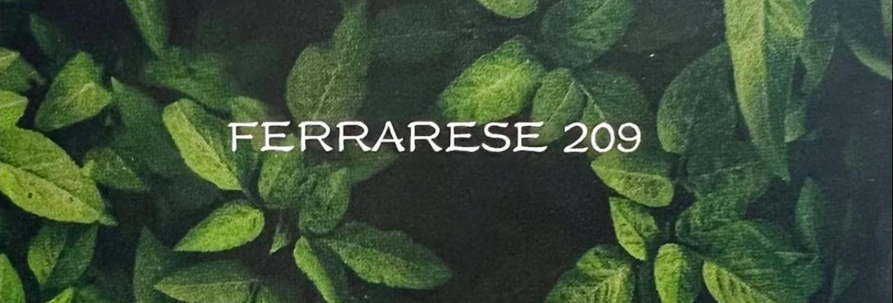 Apartment Ferrarese209 *