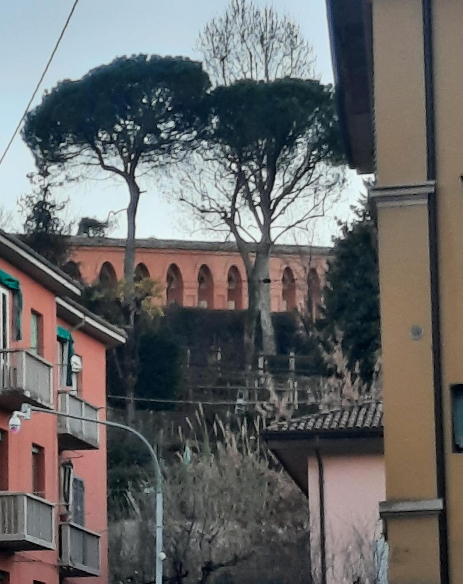 Dimora La Turrita Apartment *