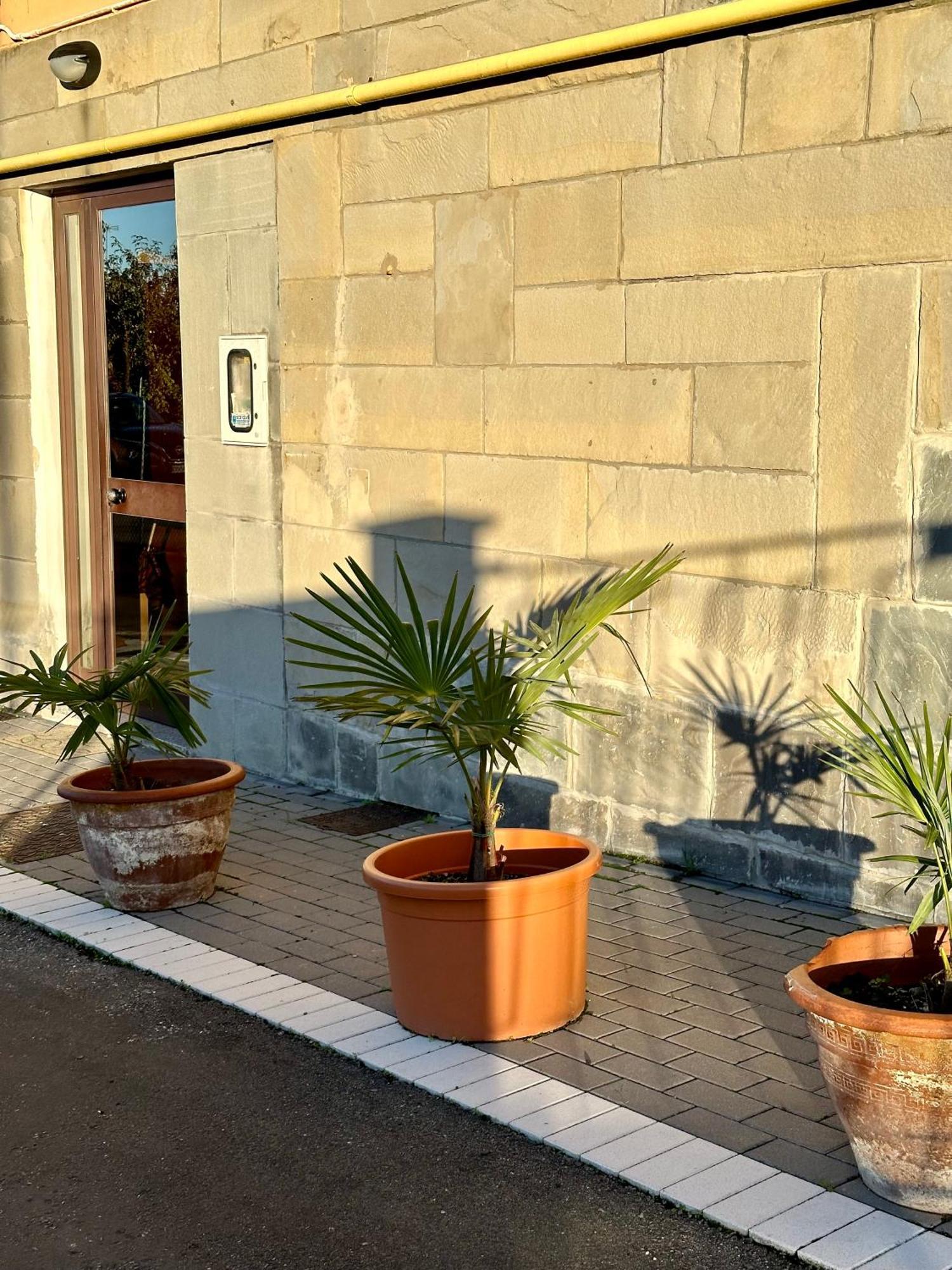 Appartement Casavacanzetoffee Bologna