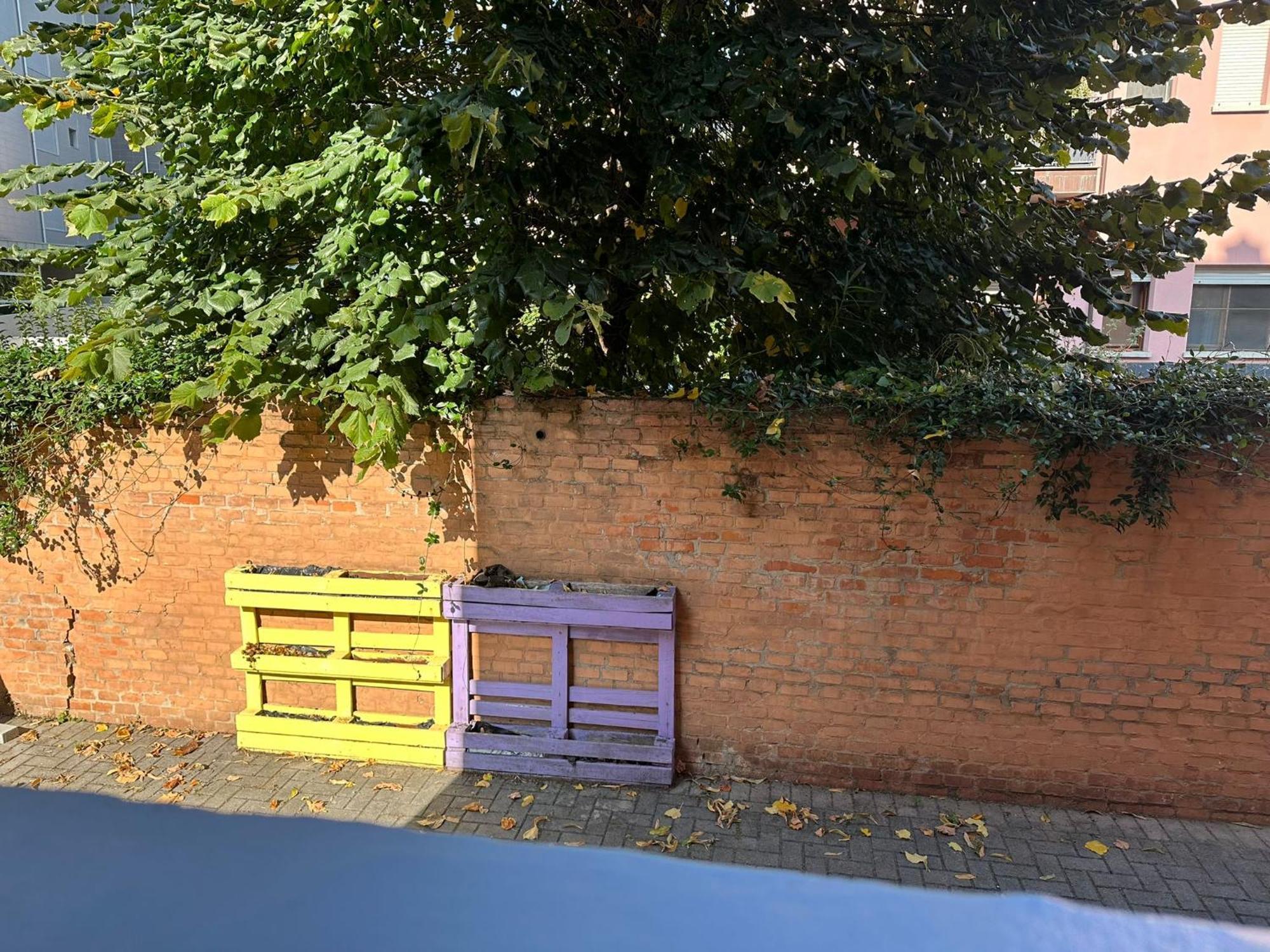 Appartamento Casa Meo *