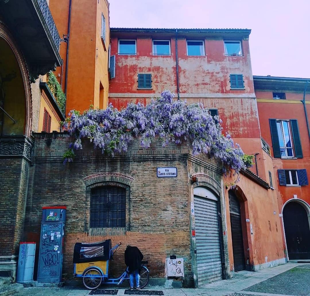 Casa Bonita, Nel Cuore Di *