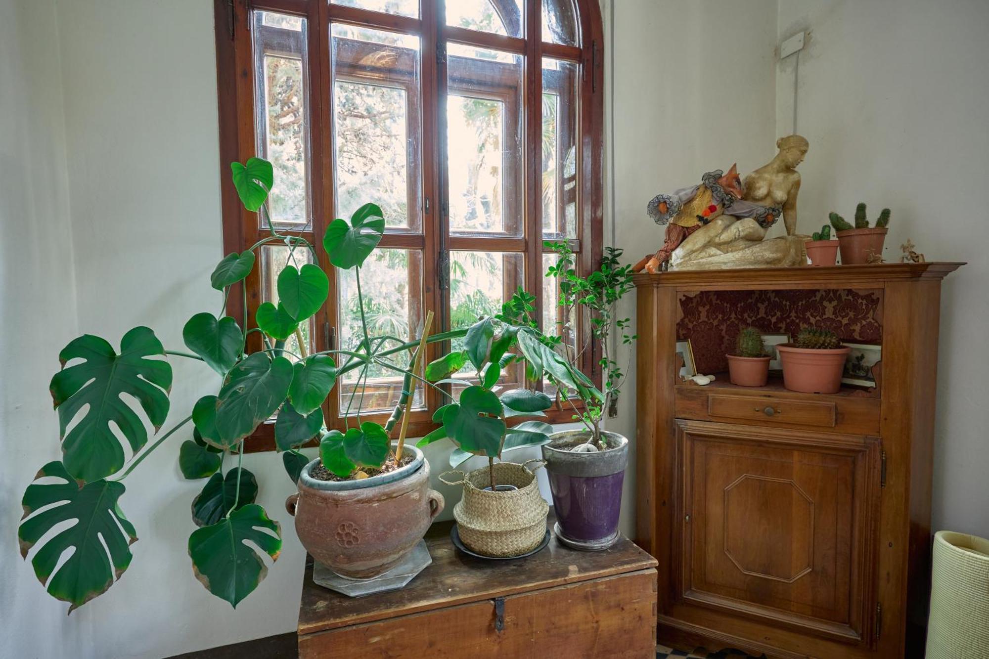 Casa de hóspedes I 4 Gatti