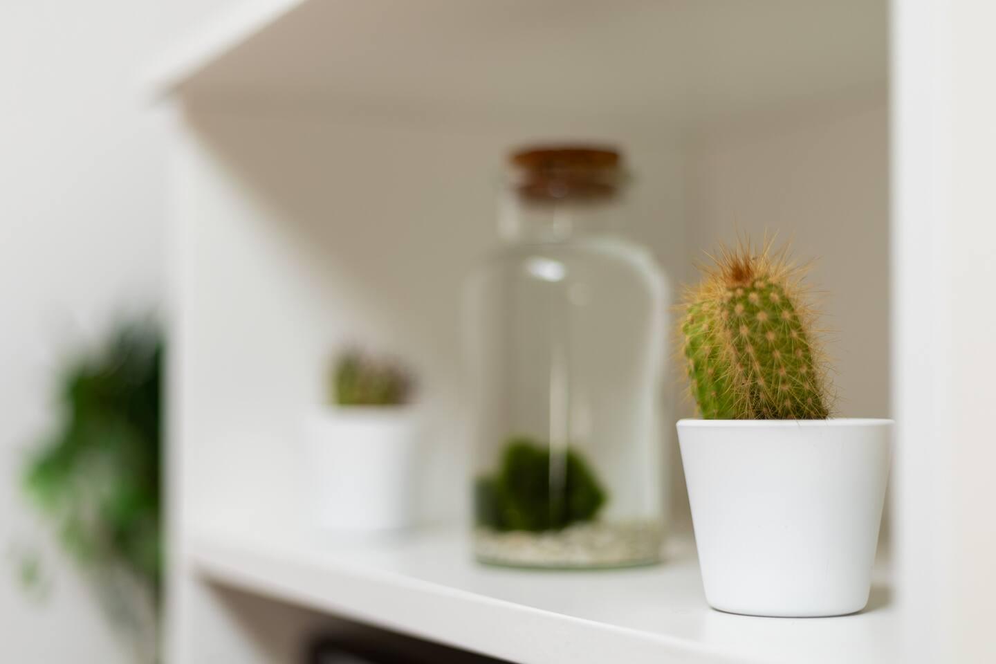 Apartment Smart Mondo [Business & Relax] Bologna