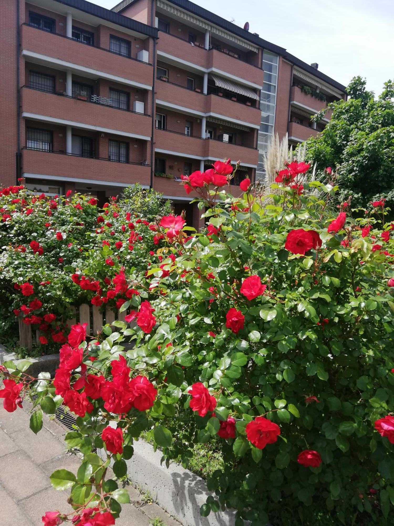 Apartment Parri 33 Fiera 4+1 Guest Parking On Demand *