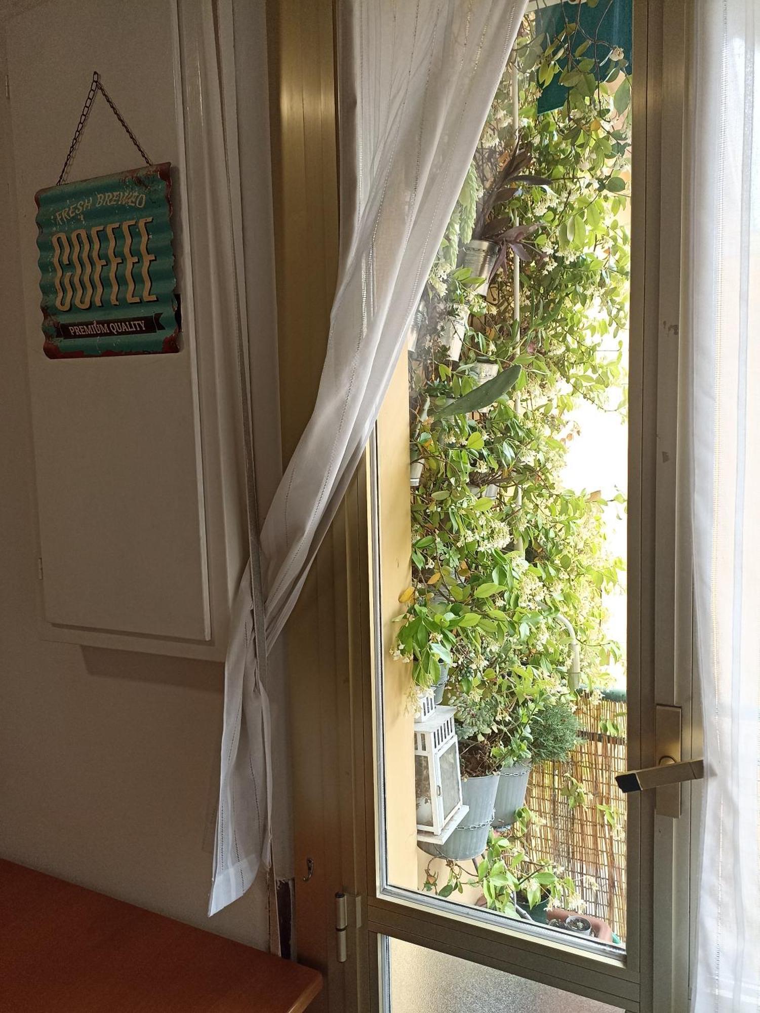 Botanical Bed & Breakfast