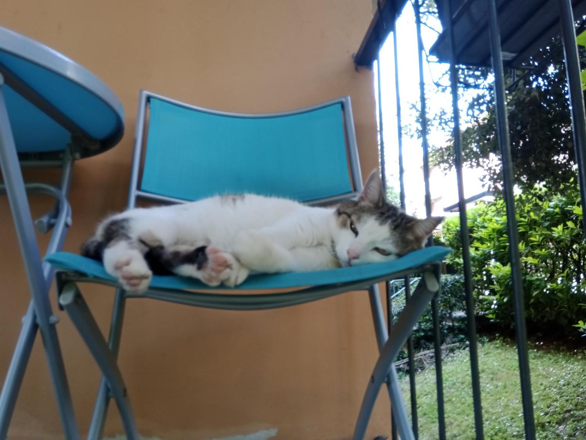 A Casa Di Gemma Gasthuis *