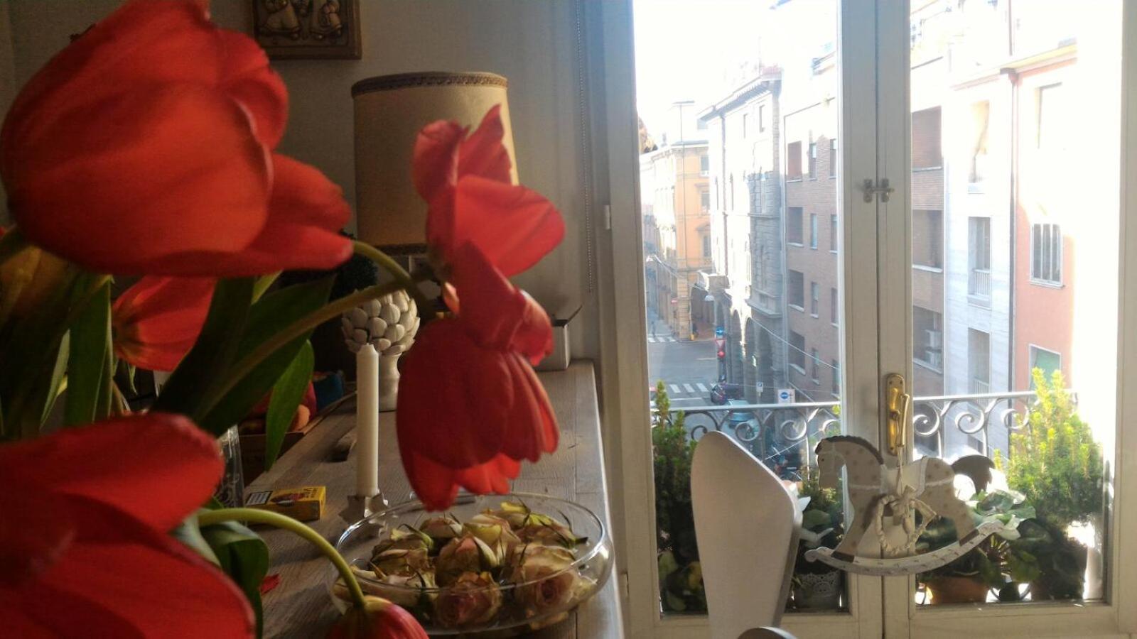 La Finestra Appartement