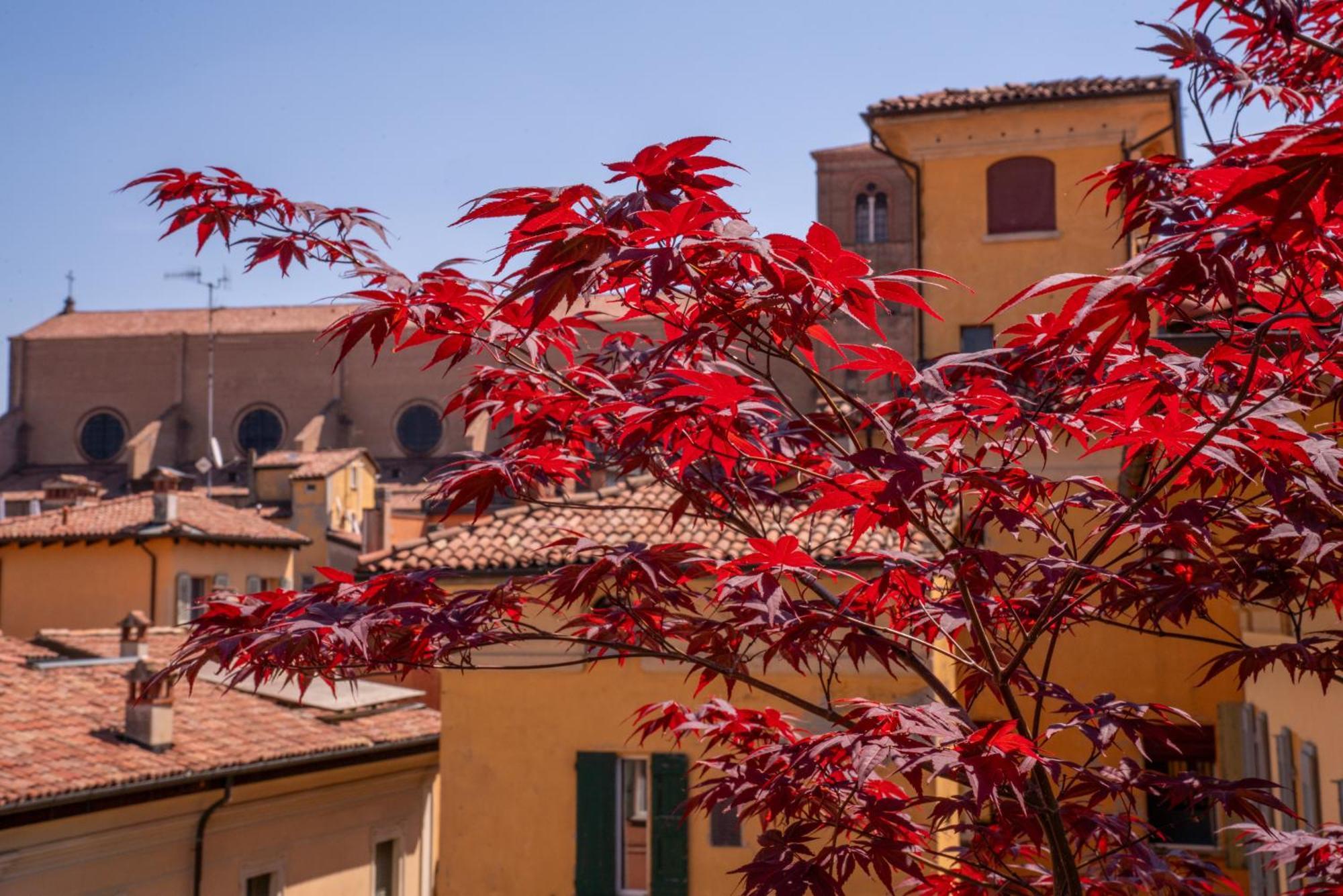 Bed & Breakfast Piazza Maggiore Santa Margherita Bologna