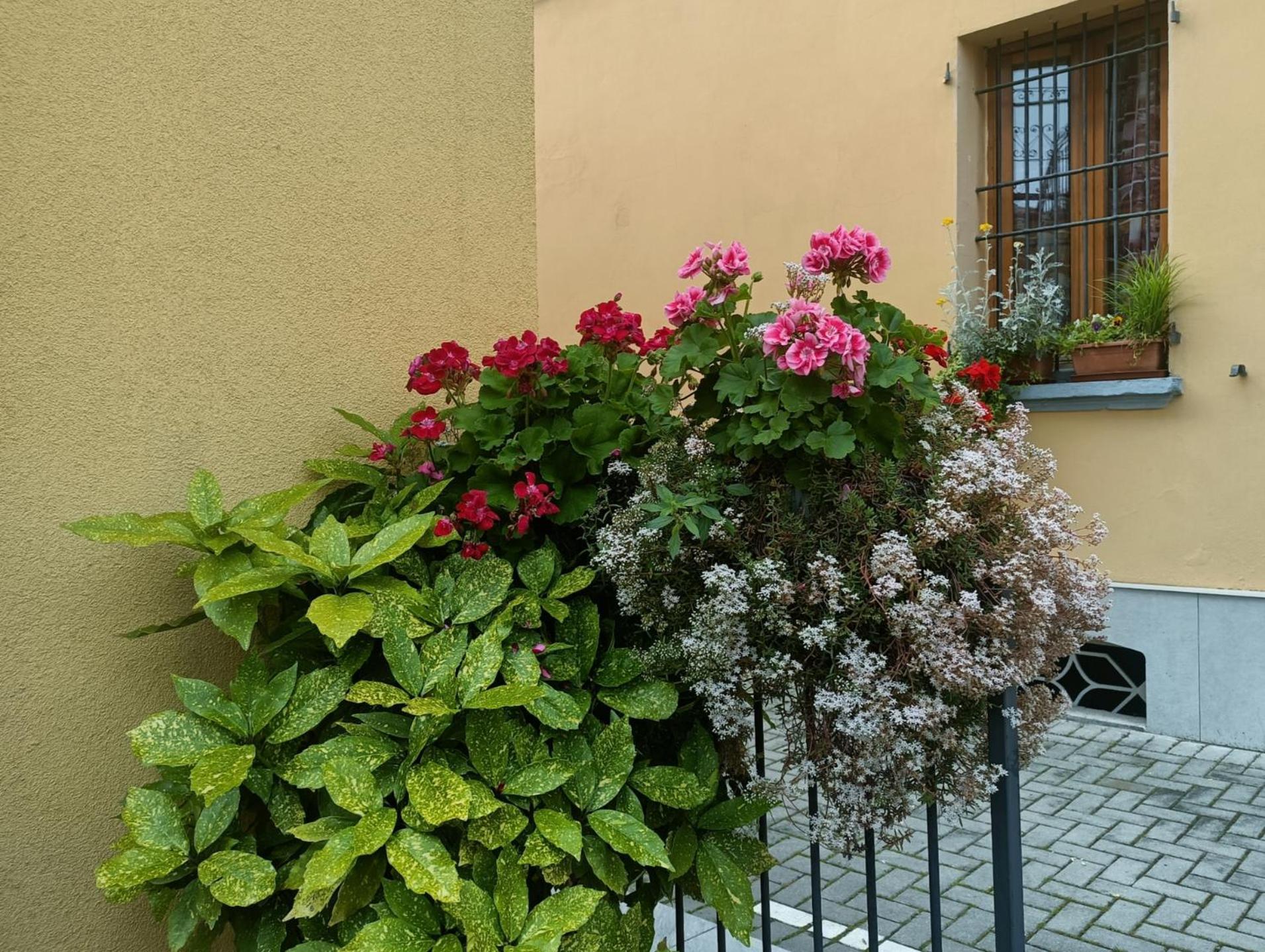 Borghetto San Donato 105 * Bolonha