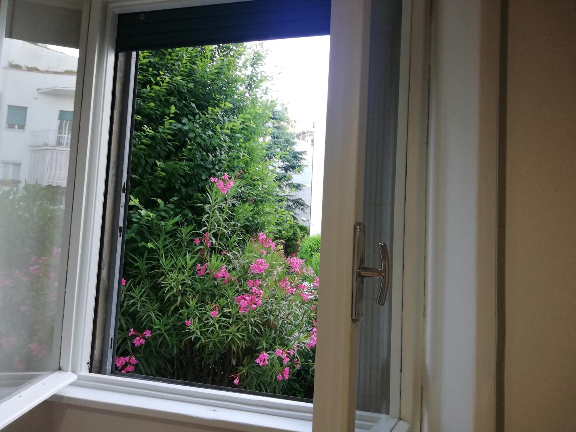 Di Fronte Alla Casa Di Carducci *