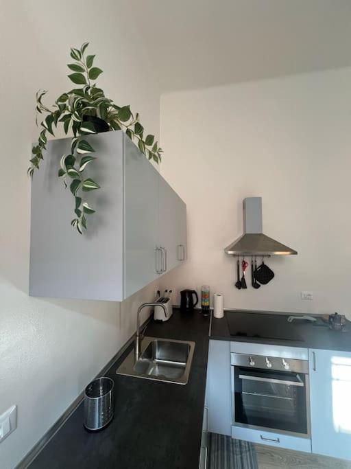 Bolognina Cozy Appartement *