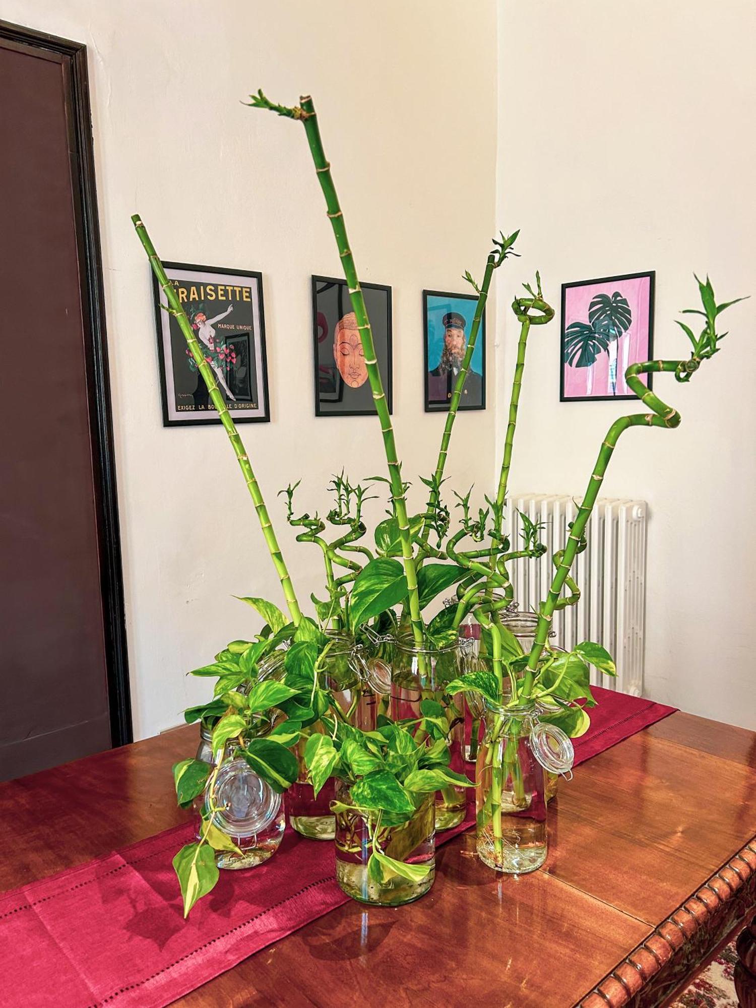 Residenza Delle Arti Gasthof Bologna