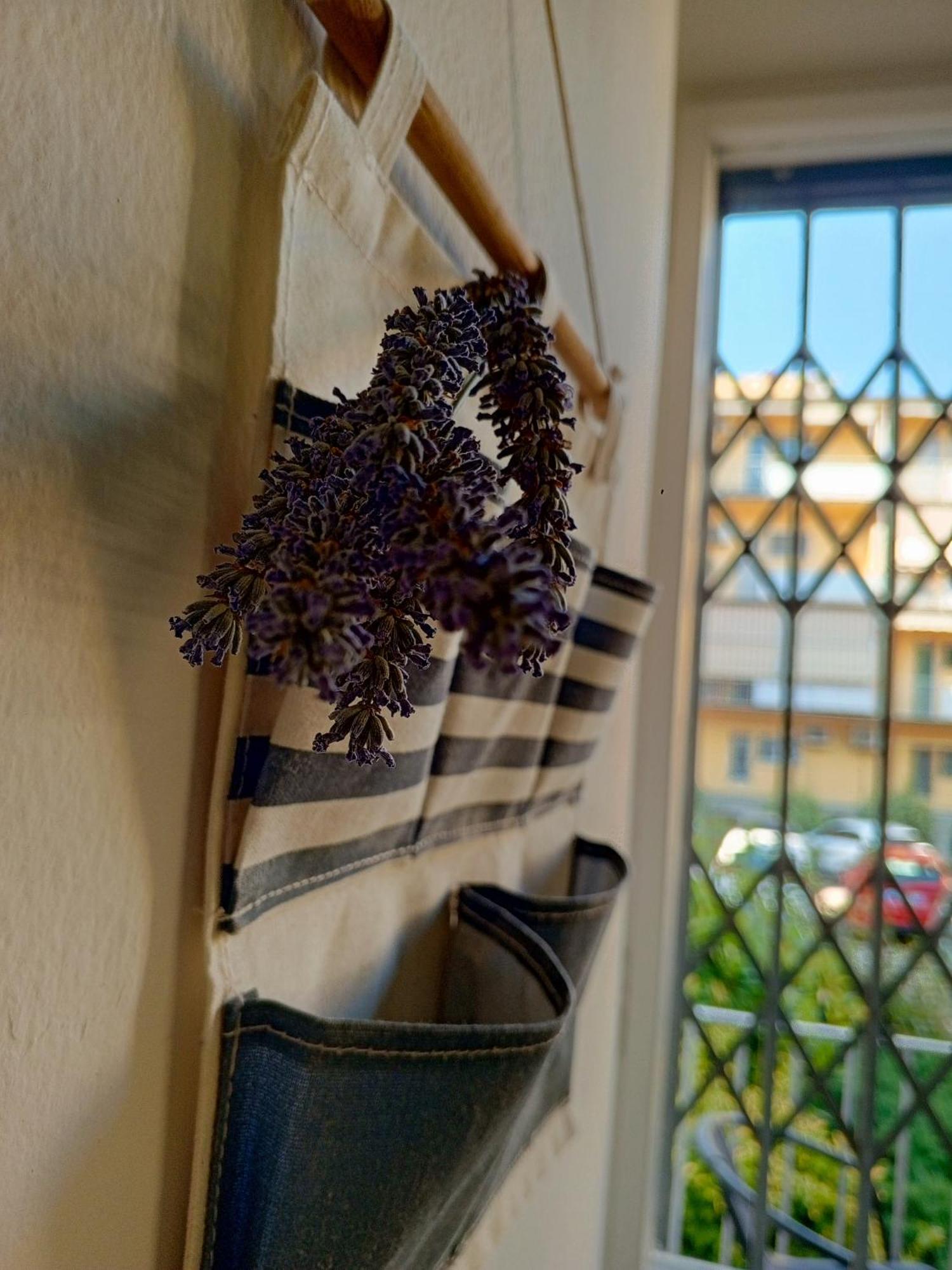 Di Fronte Alla Casa Di Carducci Appartamento Bologna