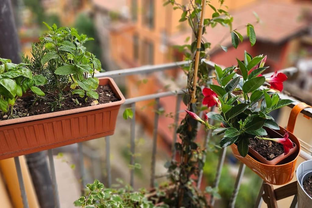 Appartement In Centro Con Vista Sul Canale *