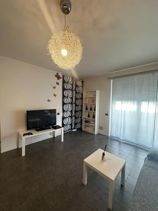 Hilditaz Moderno Bologna