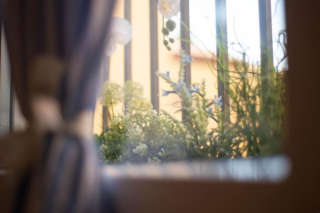 Dreaminbo - Centro Storico, Comfort E Relax * Bologne