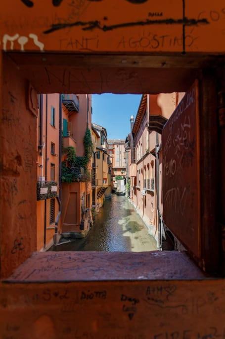 Appartamento P House Bologna