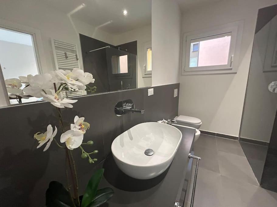Appartement Ariosti 3 - Piazza Maggiore