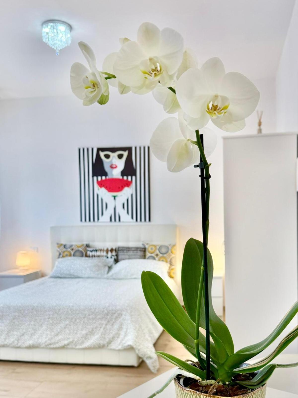 Appartement Travel Fiera Bologna