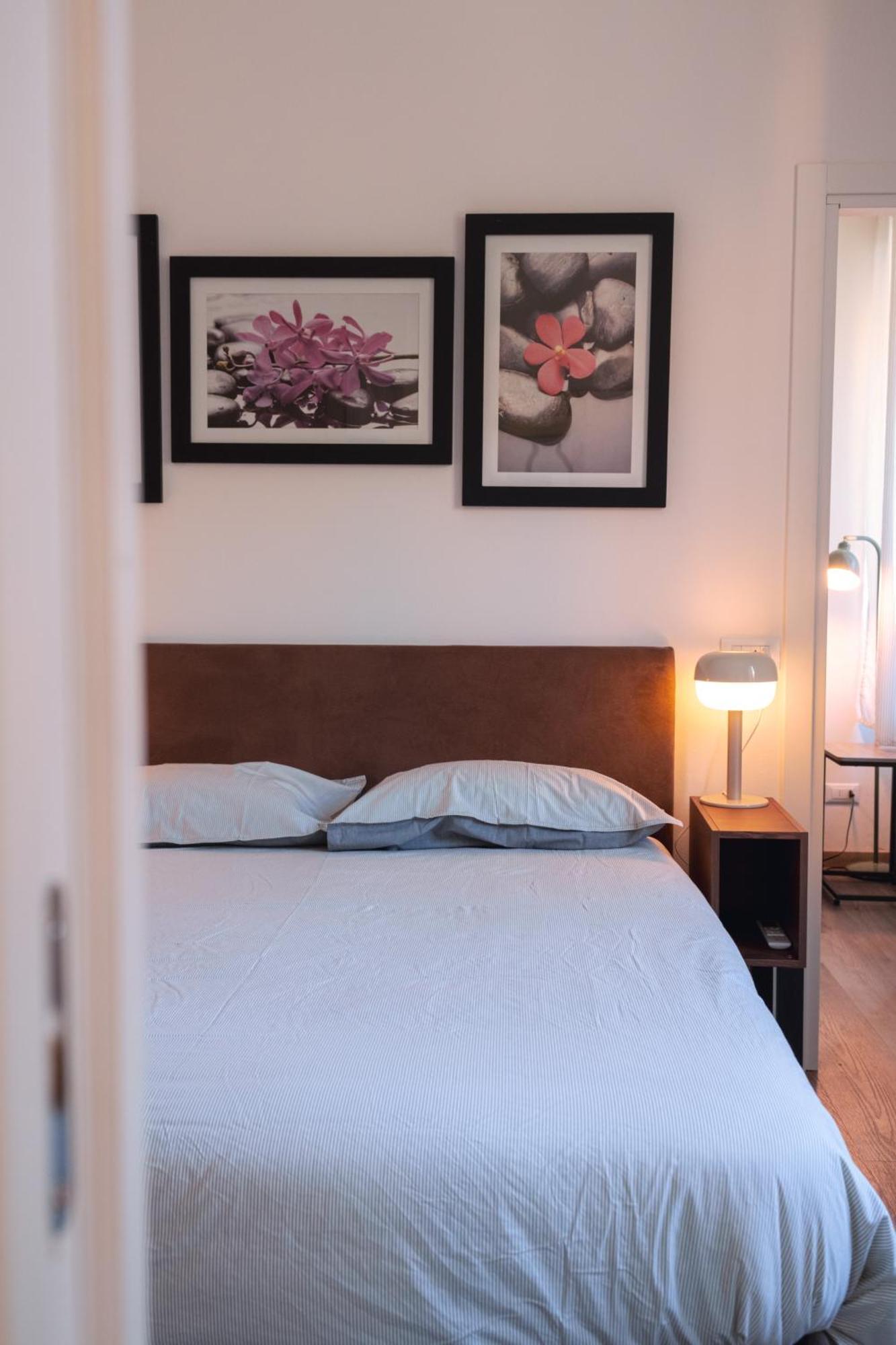 Vikos Apartamento