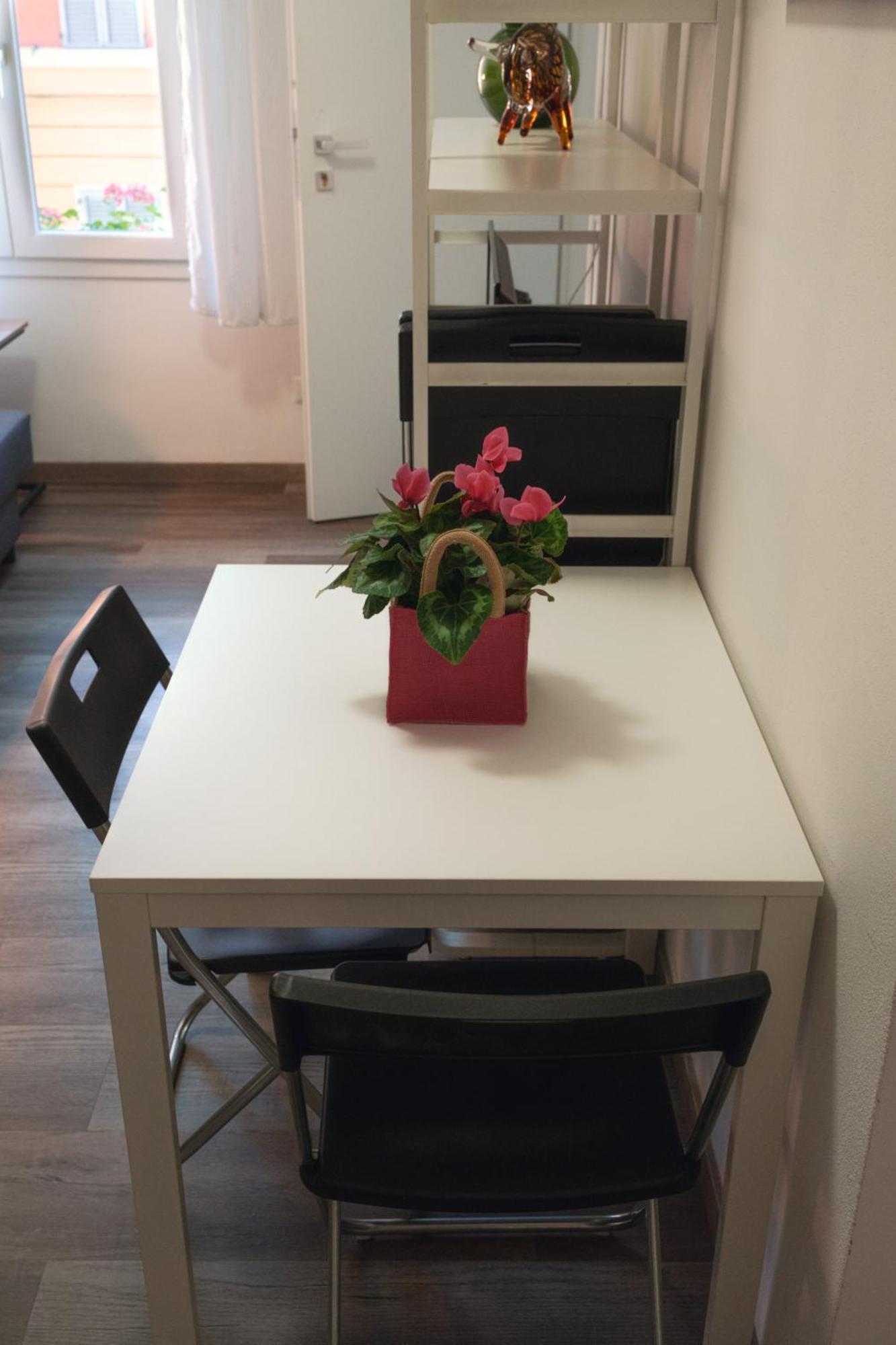 Apartamento Vikos *