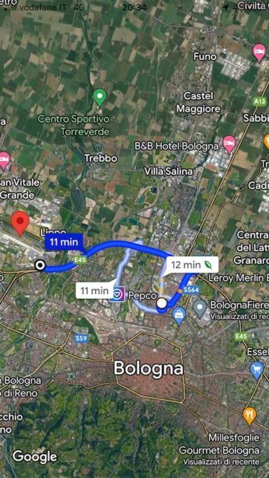 Bolognina Fiera-auditorium-stazione *