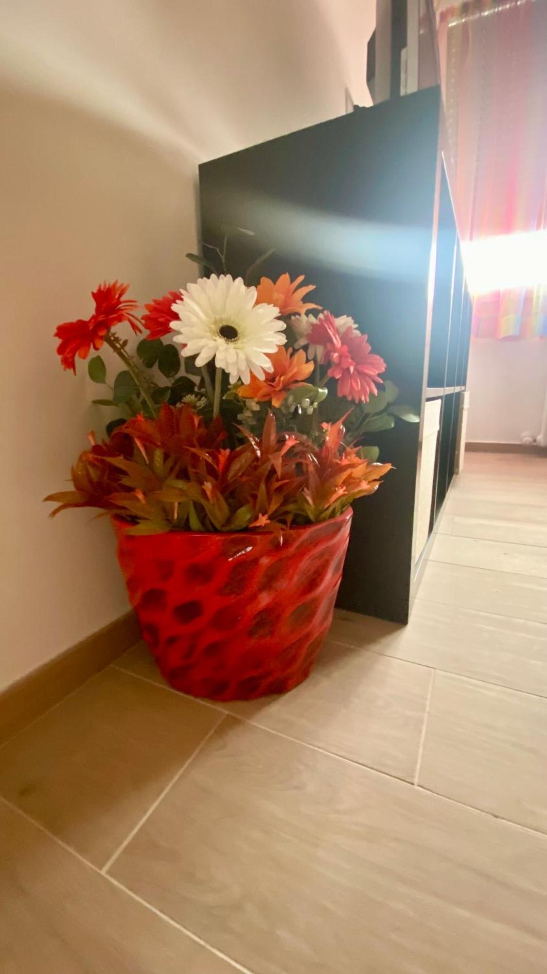 Casa Colore