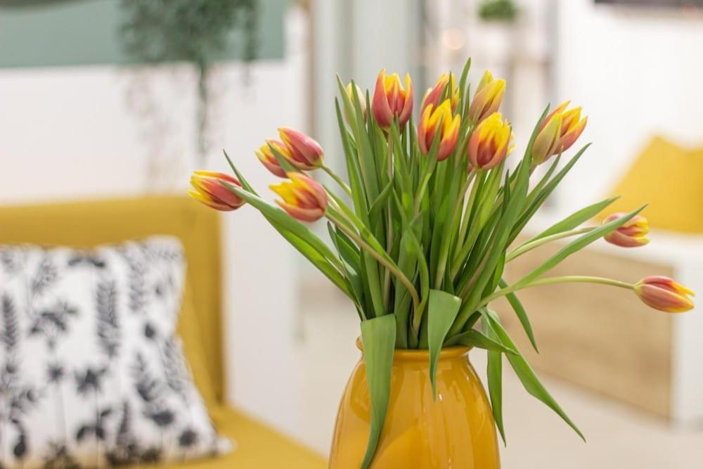 Airport Area With Free Parking Vakantiehuis *