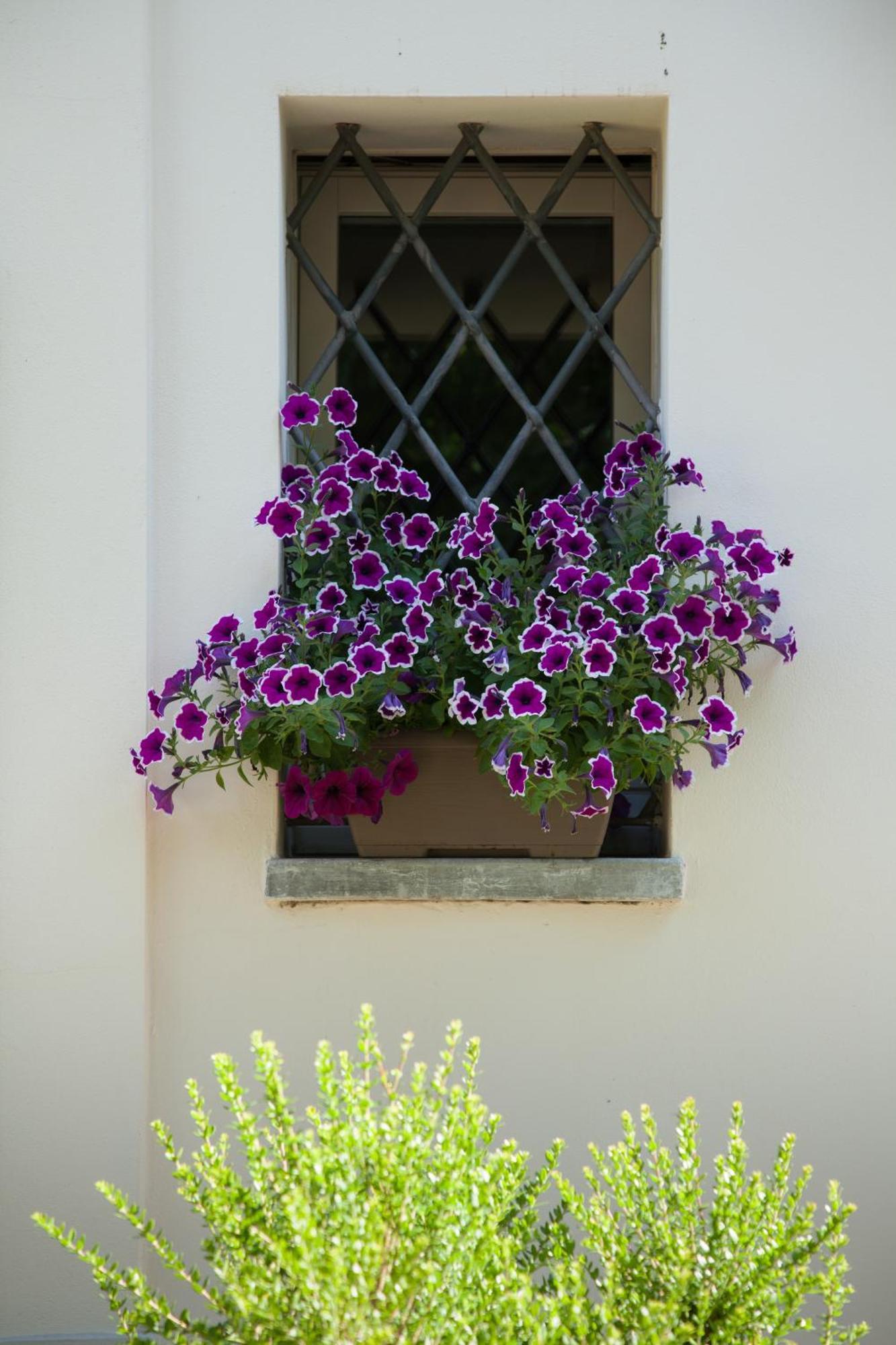 Casa Sunset Hill Casa vacanze