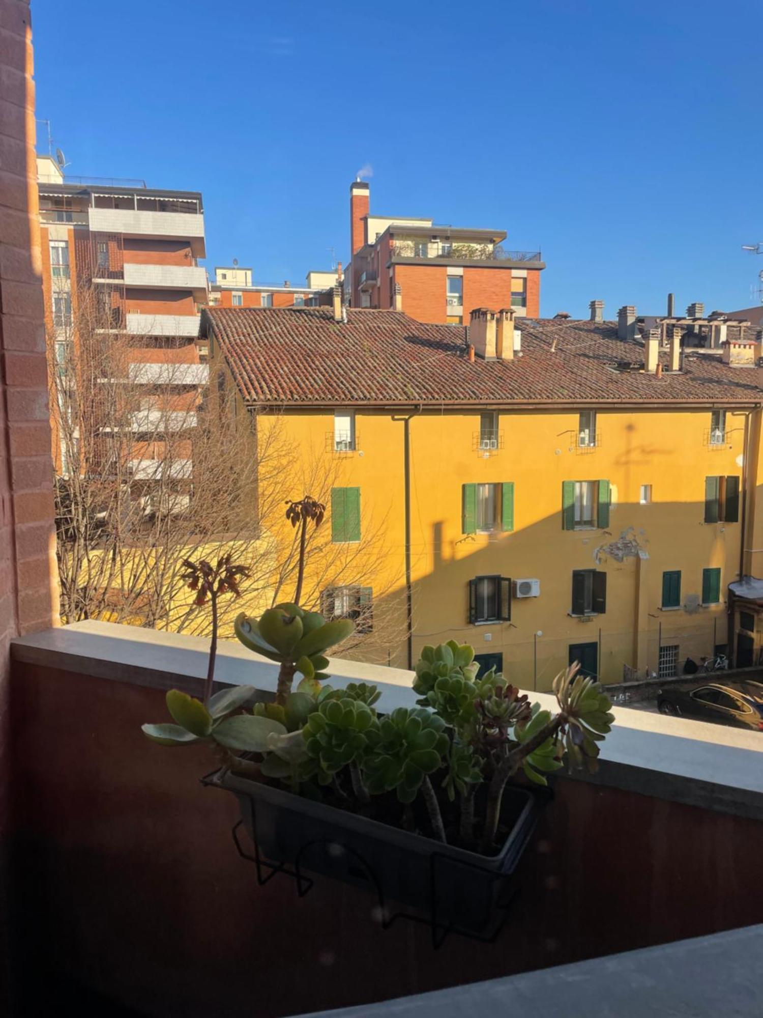 Goodluck Bologna