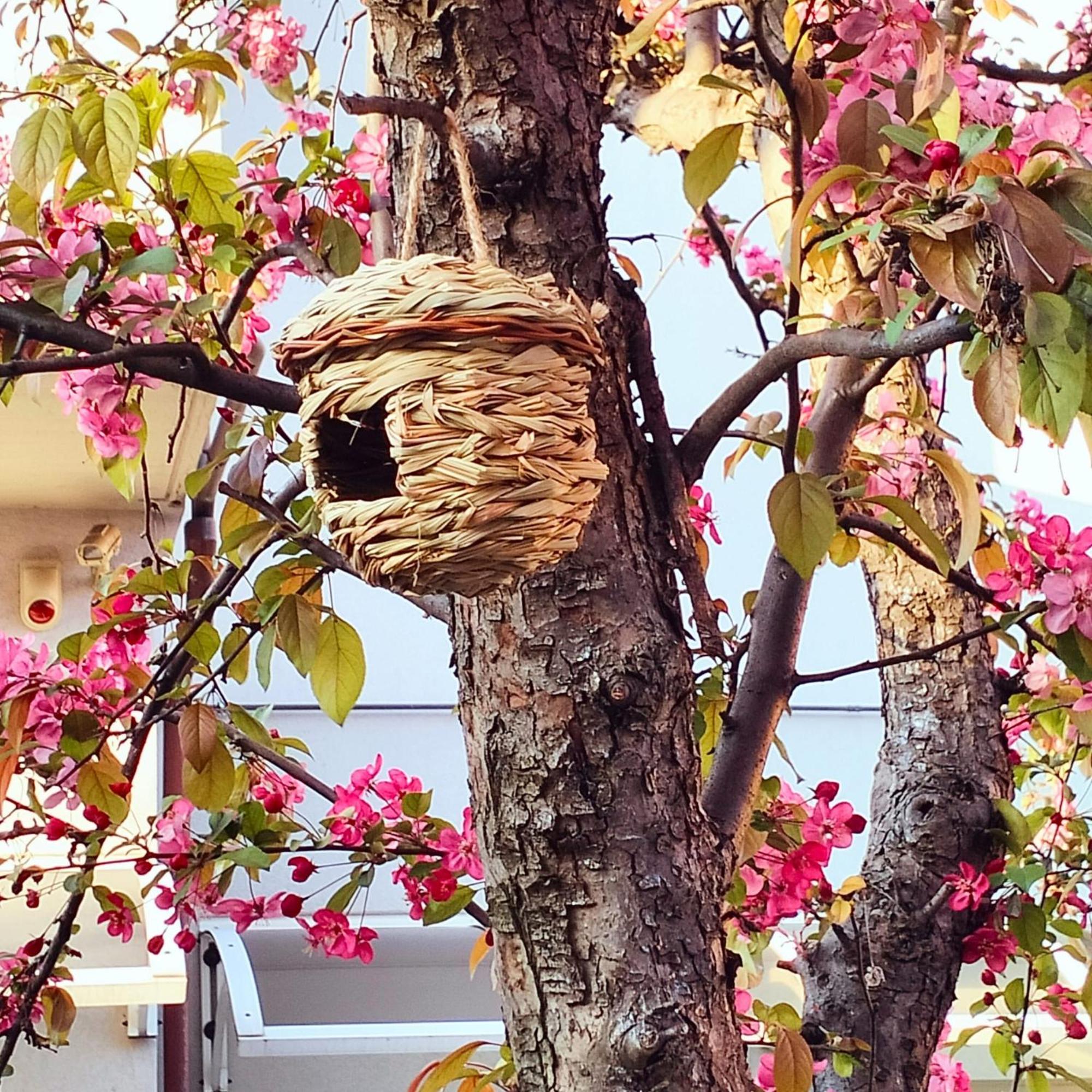 Bolognaholidayhome Signorini Giardino E Posto Auto Bologna
