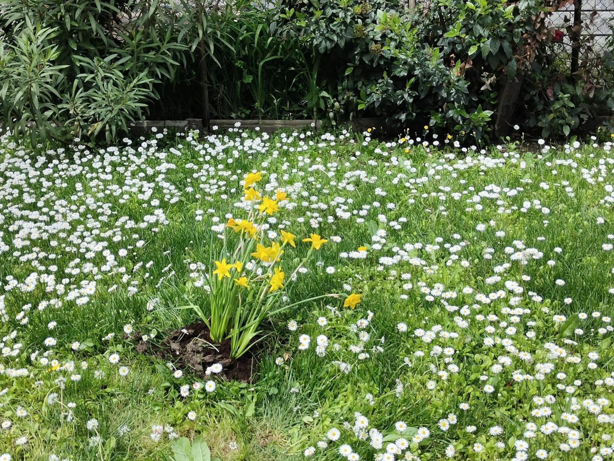 Apartment Grigio Perla Panigale, Con Giardino E Parcheggio Privato Gratuito Fino A Tre Posti Auto