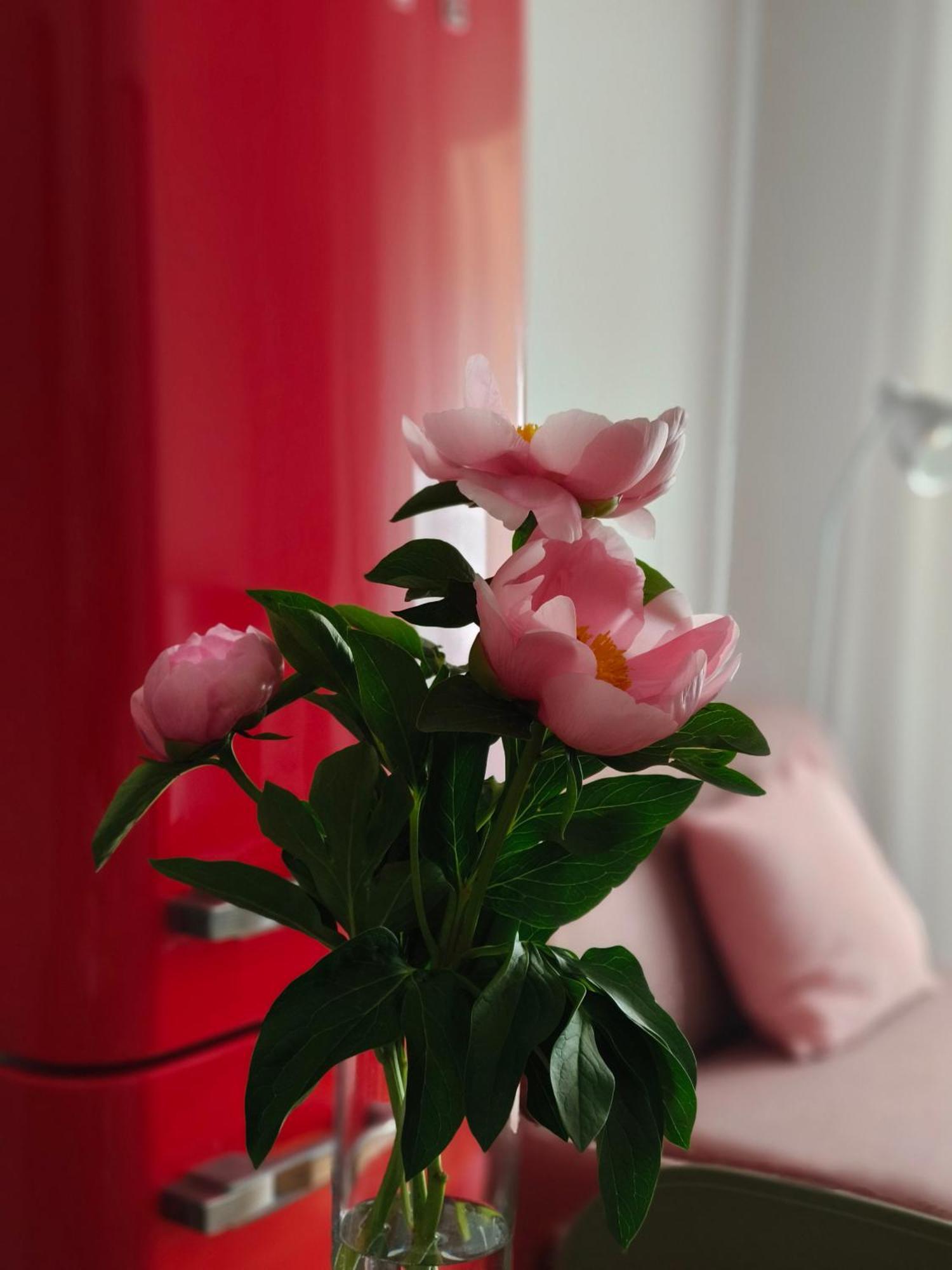 Fluere - Via Riva Reno Apartamento
