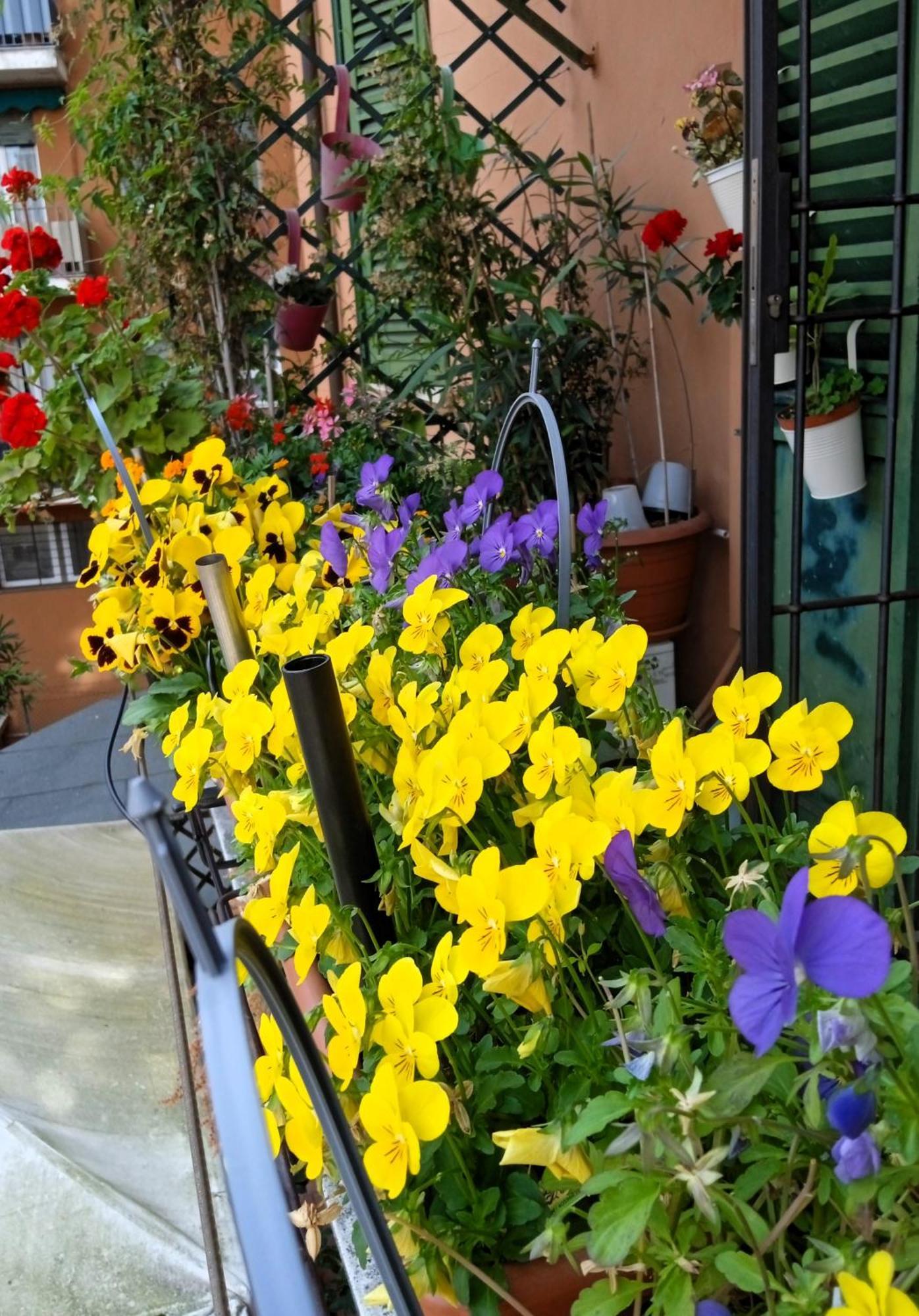 Appartement Casa Il Gelsomino Bologne