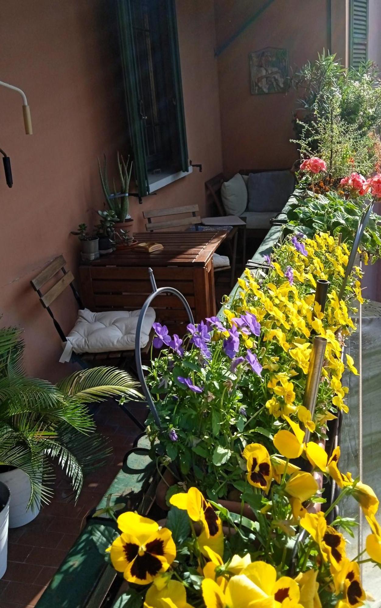 Casa Il Gelsomino * Bologna